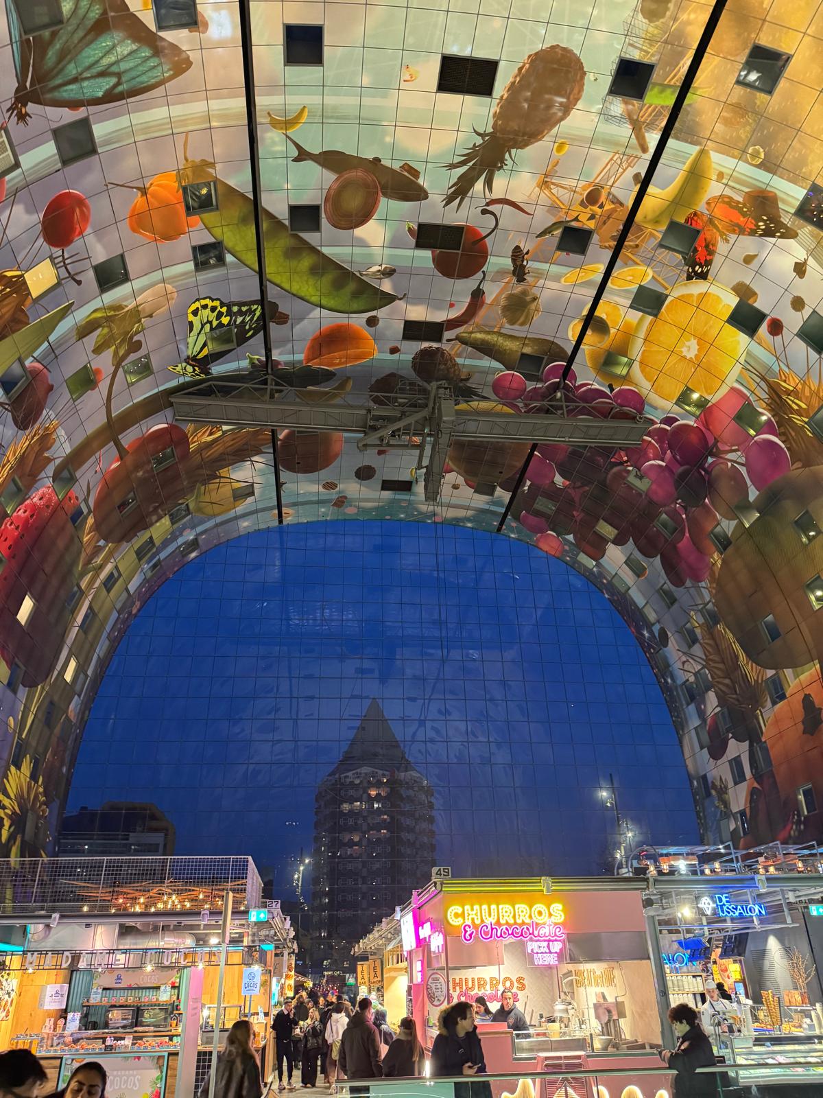 Rotterdam & Kinderdijk Discovery